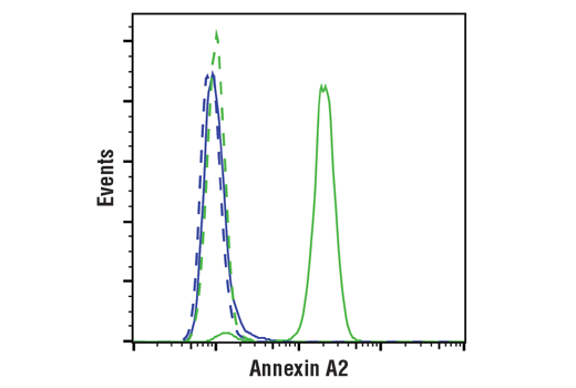 Flow Cytometry Image 1: Annexin A2 (D11G2) Rabbit mAb
