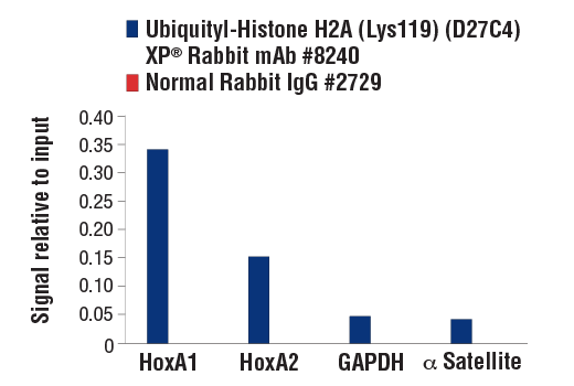 Chromatin Immunoprecipitation Image 3: Ubiquityl-Histone H2A (Lys119) (D27C4) XP® Rabbit mAb