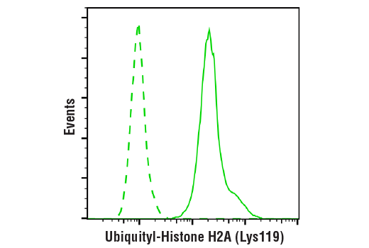 Flow Cytometry Image 1: Ubiquityl-Histone H2A (Lys119) (D27C4) XP® Rabbit mAb