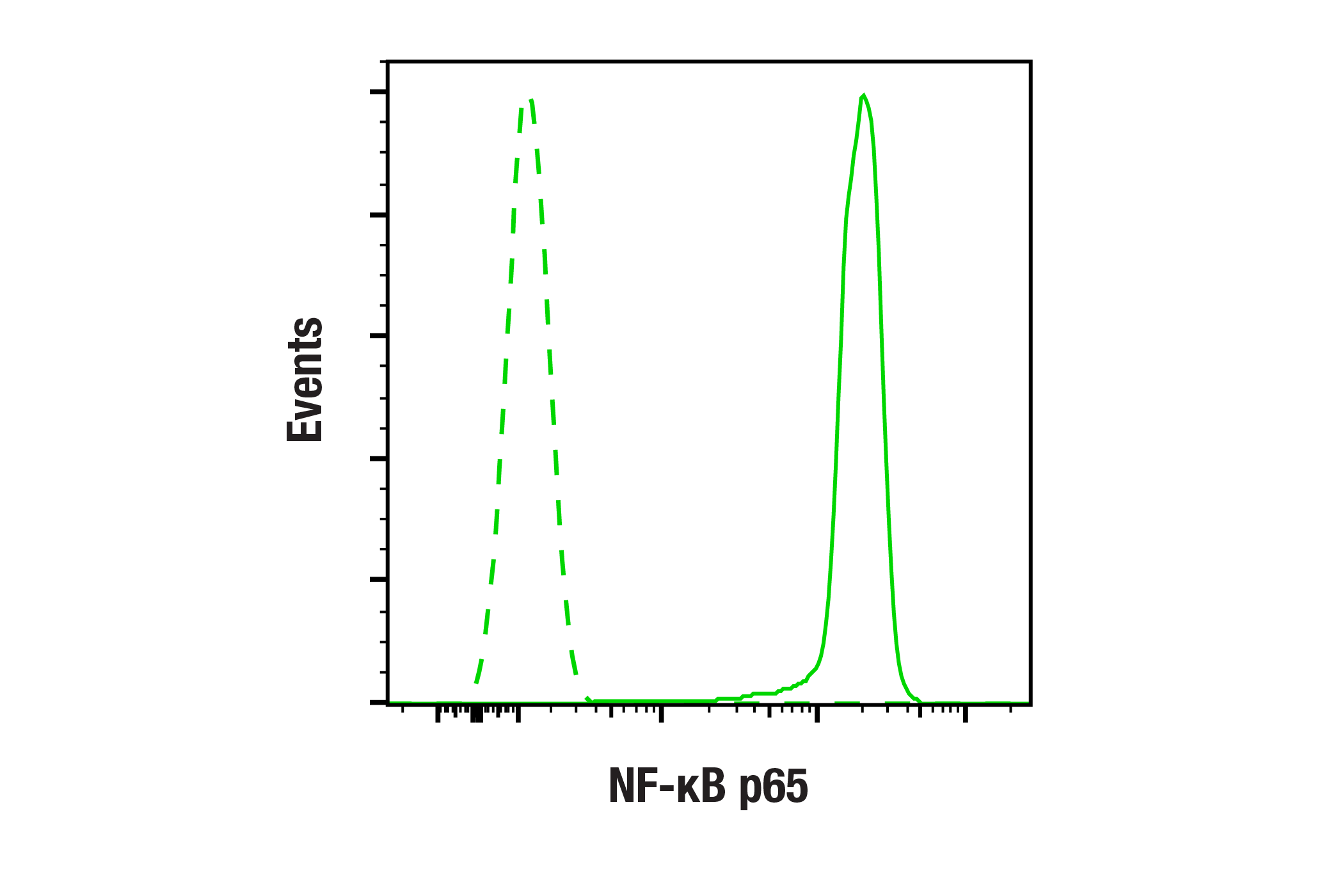undefined Image 44: NF-kappaB p65 Antibody Sampler Kit