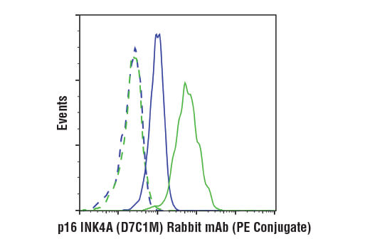 Flow Cytometry Image 1: p16 INK4A (D7C1M) Rabbit mAb (PE Conjugate)
