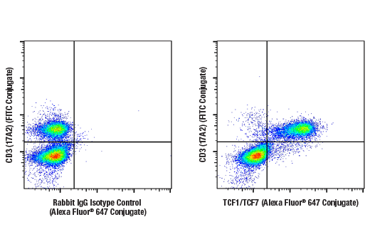 Flow Cytometry Image 1: TCF1/TCF7 (E6O1K) Rabbit mAb (Alexa Fluor® 647 Conjugate)