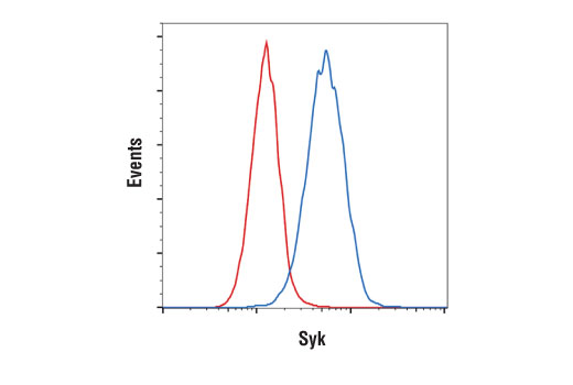 Flow Cytometry Image 1: Syk (D3Z1E) XP® Rabbit mAb (PE Conjugate)