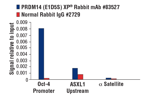 Chromatin Immunoprecipitation Image 3: PRDM14 (E1D5S) XP® Rabbit mAb