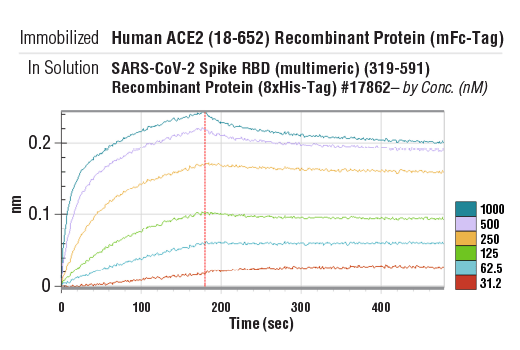 Image 1: Human ACE2 (18-652) Recombinant Protein (mFc-Tag)