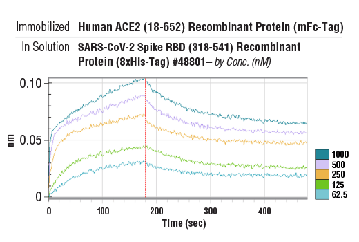  Image 2: Human ACE2 (18-652) Recombinant Protein (mFc-Tag)