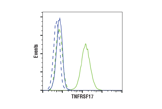Flow Cytometry Image 1: TNFRSF17/BCMA (E6D7B) Rabbit mAb (BSA and Azide Free)