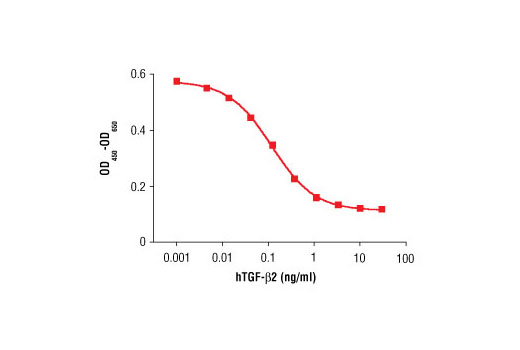  Image 1: Human Transforming Growth Factor β2 (hTGF-β2)