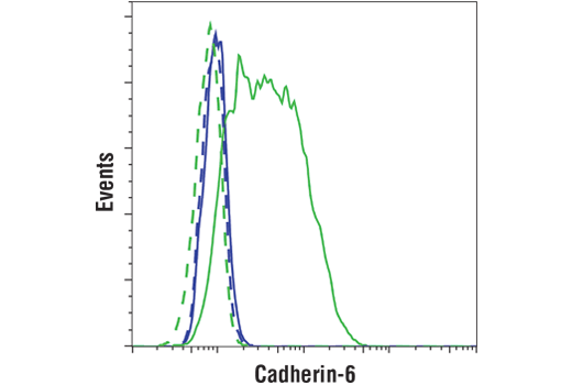 Flow Cytometry Image 1: Cadherin-6 (D3T3I) Rabbit mAb (BSA and Azide Free)