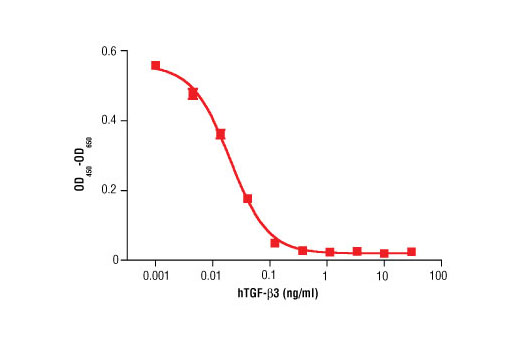  Image 1: Human Transforming Growth Factor β3 (hTGF-β3)