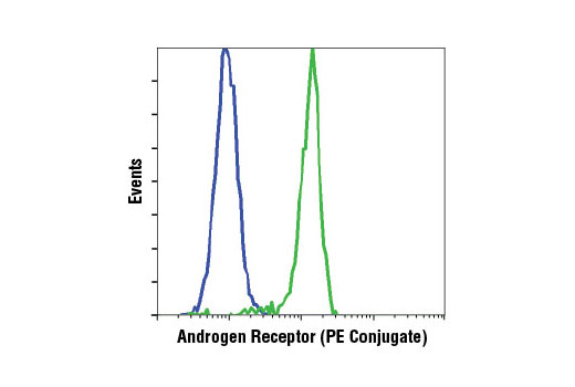 Flow Cytometry Image 1: Androgen Receptor (D6F11) XP® Rabbit mAb (PE Conjugate)