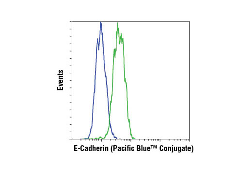 Flow Cytometry Image 1: E-Cadherin (24E10) Rabbit mAb (Pacific Blue™ Conjugate)