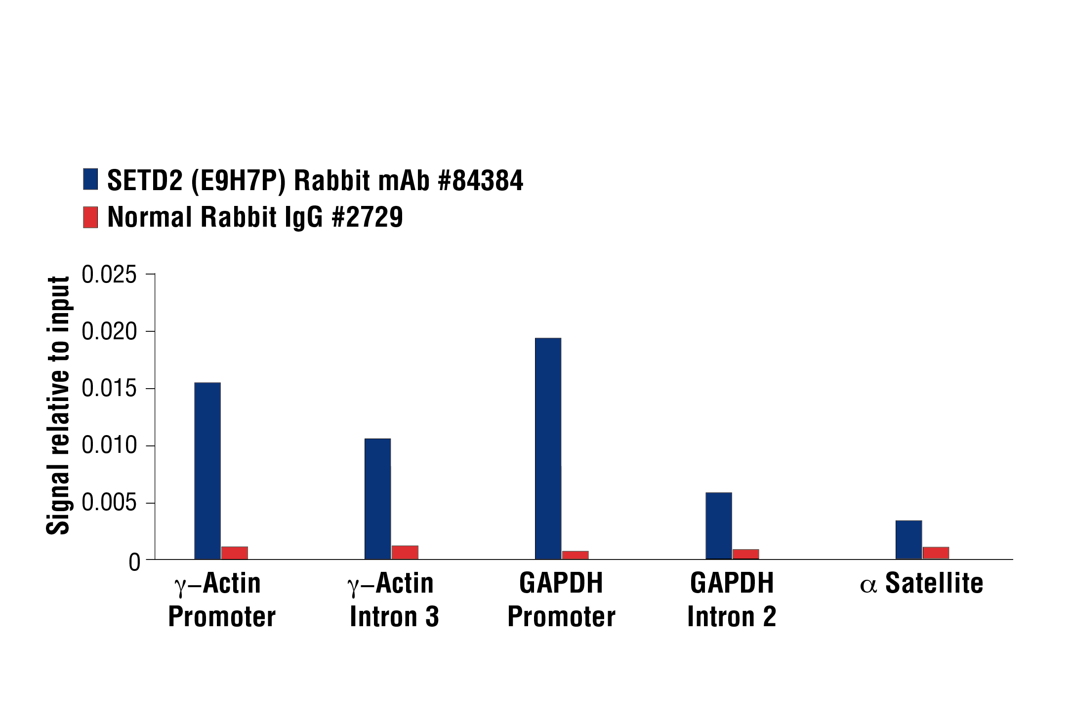 Chromatin Immunoprecipitation Image 3: SETD2 (E9H7P) Rabbit mAb