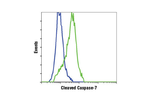 Flow Cytometry Image 1: Cleaved Caspase-7 (Asp198) (D6H1) Rabbit mAb