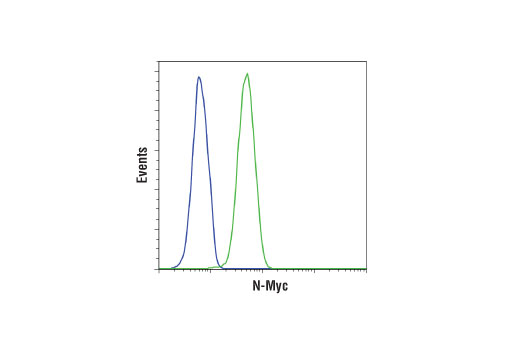 Flow Cytometry Image 1: N-Myc (D1V2A) Rabbit mAb
