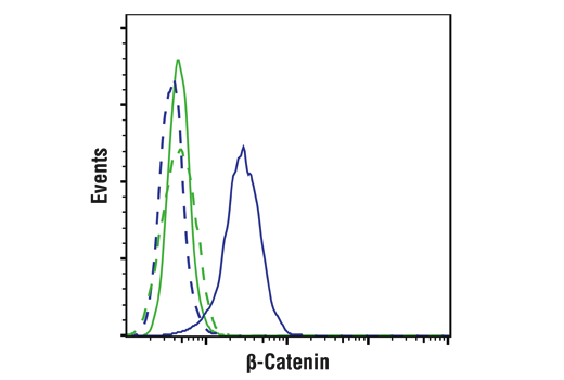 Flow Cytometry Image 1: β-Catenin (D10A8) XP® Rabbit mAb (BSA and Azide Free)