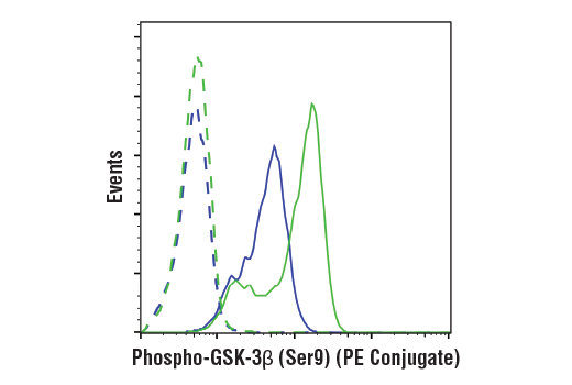 Flow Cytometry Image 1: Phospho-GSK-3β (Ser9) (D85E12) XP® Rabbit mAb (PE Conjugate)