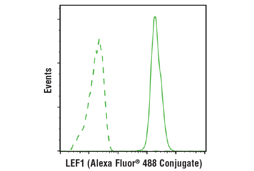 Flow Cytometry Image 3: LEF1 (C12A5) Rabbit mAb (Alexa Fluor® 488 Conjugate)