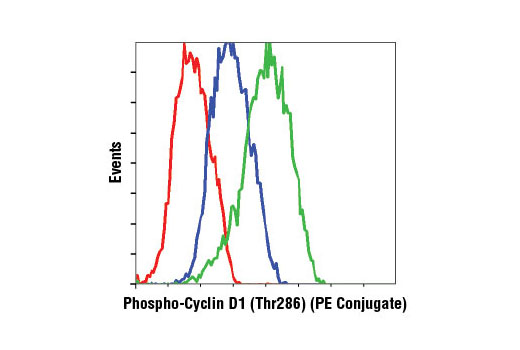 Flow Cytometry Image 1: Phospho-Cyclin D1 (Thr286) (D29B3) XP® Rabbit mAb (PE Conjugate)