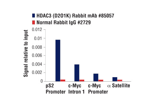 Chromatin Immunoprecipitation Image 3: HDAC3 (D2O1K) Rabbit mAb