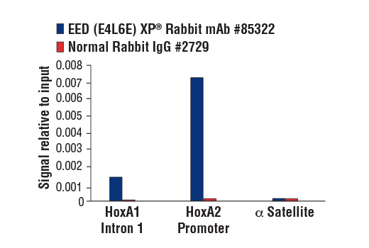 Chromatin Immunoprecipitation Image 3: EED (E4L6E) XP® Rabbit mAb