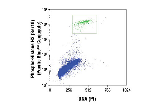 Flow Cytometry Image 1: Phospho-Histone H3 (Ser10) (D2C8) XP® Rabbit mAb (Pacific Blue™ Conjugate)