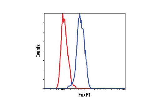 Flow Cytometry Image 1: FoxP1 (D35D10) XP® Rabbit mAb (BSA and Azide Free)
