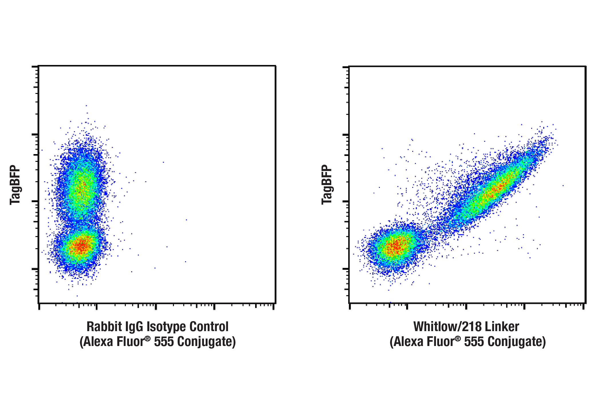 Flow Cytometry Image 1: Whitlow/218 Linker (E3U7Q) Rabbit mAb (Alexa Fluor® 555 Conjugate)