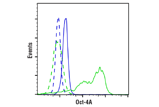 Flow Cytometry Image 1: Oct-4A (C52G3) Rabbit mAb (BSA and Azide Free)