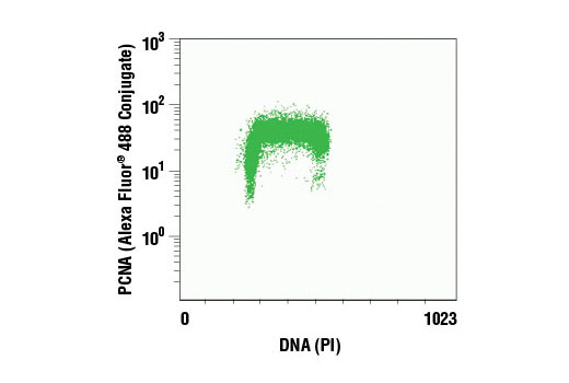 Flow Cytometry Image 1: PCNA (PC10) Mouse mAb (Alexa Fluor® 488 Conjugate)
