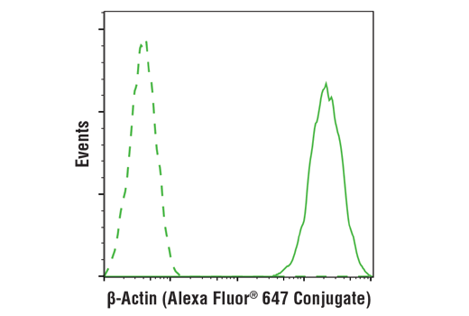 Flow Cytometry Image 1: β-Actin (13E5) Rabbit mAb (Alexa Fluor®647 Conjugate)