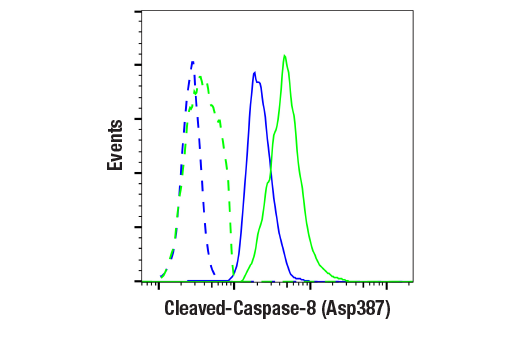 Flow Cytometry Image 1: Cleaved Caspase-8 (Asp387) (D5B2) XP® Rabbit mAb