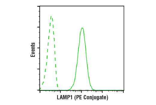 Flow Cytometry Image 1: LAMP1 (D2D11) XP® Rabbit mAb (PE Conjugate)
