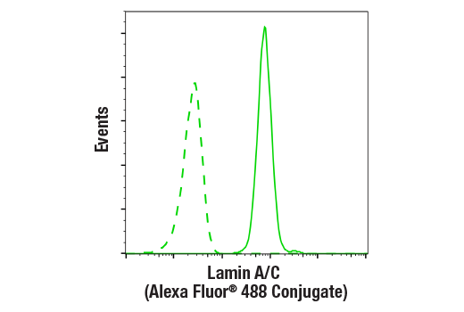 Flow Cytometry Image 1: Lamin A/C (4C11) Mouse mAb (Alexa Fluor® 488 Conjugate)