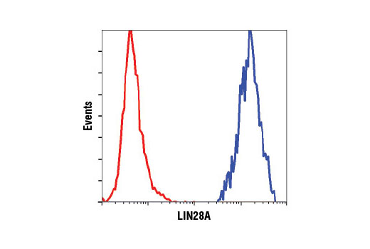 Flow Cytometry Image 1: LIN28A (D1A1A) XP® Rabbit mAb