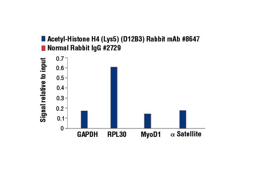 Chromatin Immunoprecipitation Image 1: Acetyl-Histone H4 (Lys5) (D12B3) Rabbit mAb