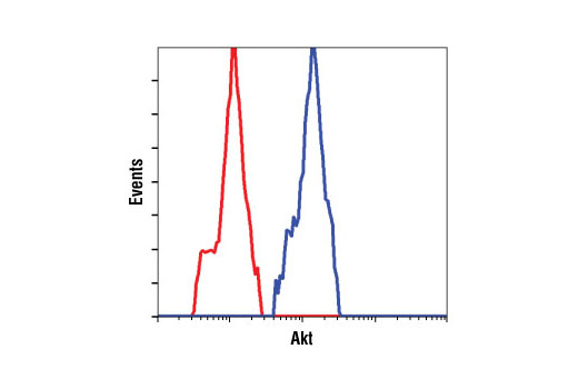 Flow Cytometry Image 1: Akt (pan) (11E7) Rabbit mAb (BSA and Azide Free)