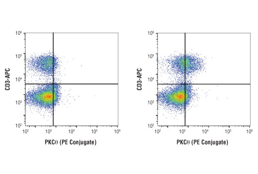 Flow Cytometry Image 1: PKCθ (E1I7Y) Rabbit mAb (PE Conjugate)
