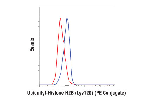 Flow Cytometry Image 1: Ubiquityl-Histone H2B (Lys120) (D11) XP® Rabbit mAb (PE Conjugate)