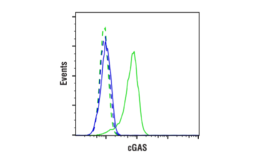 Flow Cytometry Image 1: cGAS (E5V3W) Rabbit mAb (BSA and Azide Free)