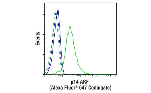 Flow Cytometry Image 1: p14 ARF (E3X6D) Rabbit mAb (Alexa Fluor® 647 Conjugate)
