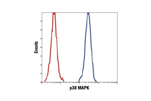 Flow Cytometry Image 1: p38 MAPK (D13E1) XP® Rabbit mAb