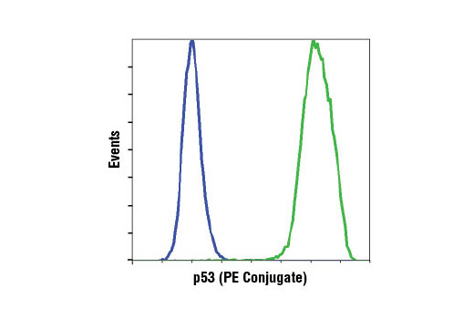 Flow Cytometry Image 1: p53 (7F5) Rabbit mAb (PE Conjugate)