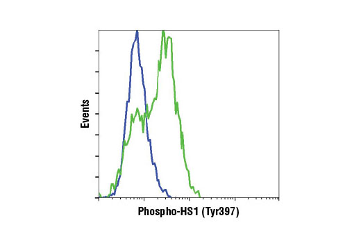 Flow Cytometry Image 1: Phospho-HS1 (Tyr397) (D12C1) XP® Rabbit mAb