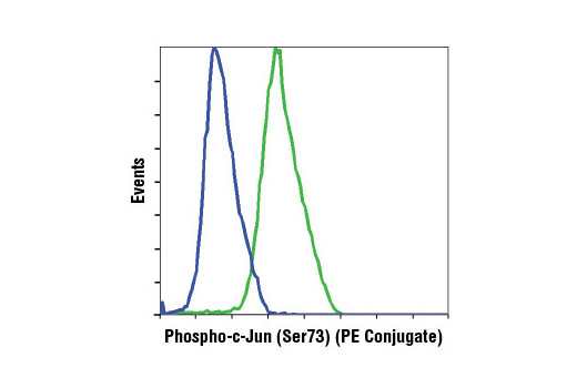 Flow Cytometry Image 1: Phospho-c-Jun (Ser73) (D47G9) XP® Rabbit mAb (PE Conjugate)
