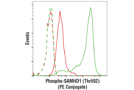 Flow Cytometry Image 1: Phospho-SAMHD1 (Thr592) (D7O2M) Rabbit mAb (PE Conjugate)