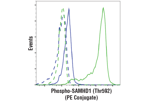 Flow Cytometry Image 2: Phospho-SAMHD1 (Thr592) (D7O2M) Rabbit mAb (PE Conjugate)