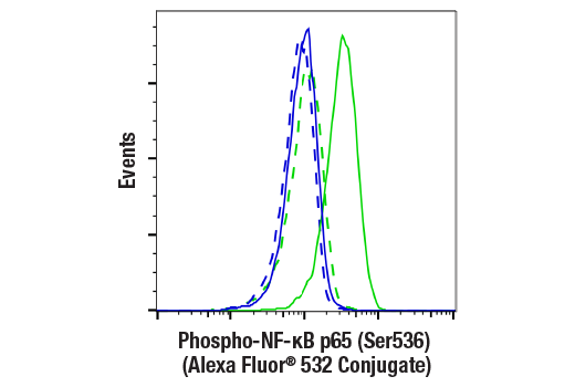 Flow Cytometry Image 1: Phospho-NF-κB p65 (Ser536) (93H1) Rabbit mAb (Alexa Fluor® 532 Conjugate)