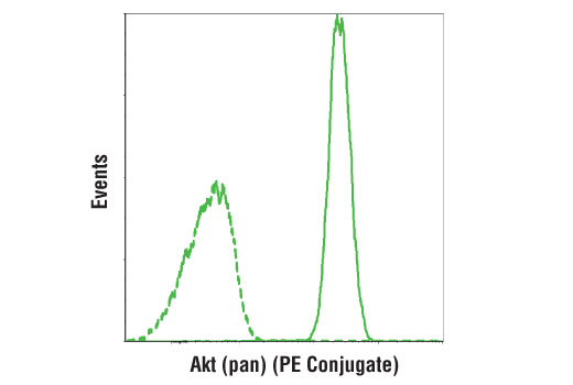 Flow Cytometry Image 1: Akt (pan) (C67E7) Rabbit mAb (PE Conjugate)