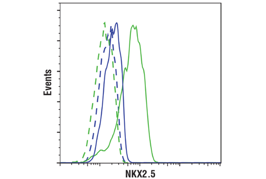 Flow Cytometry Image 1: NKX2.5 (E1Y8H) Rabbit mAb